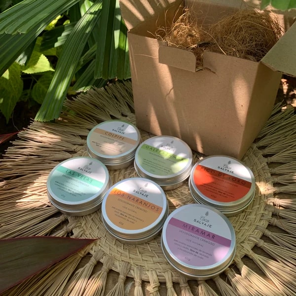 Descubre los 6 desodorantes en crema de 60g en un solo kit. Protección natural, aromas únicos y amor por tu piel.