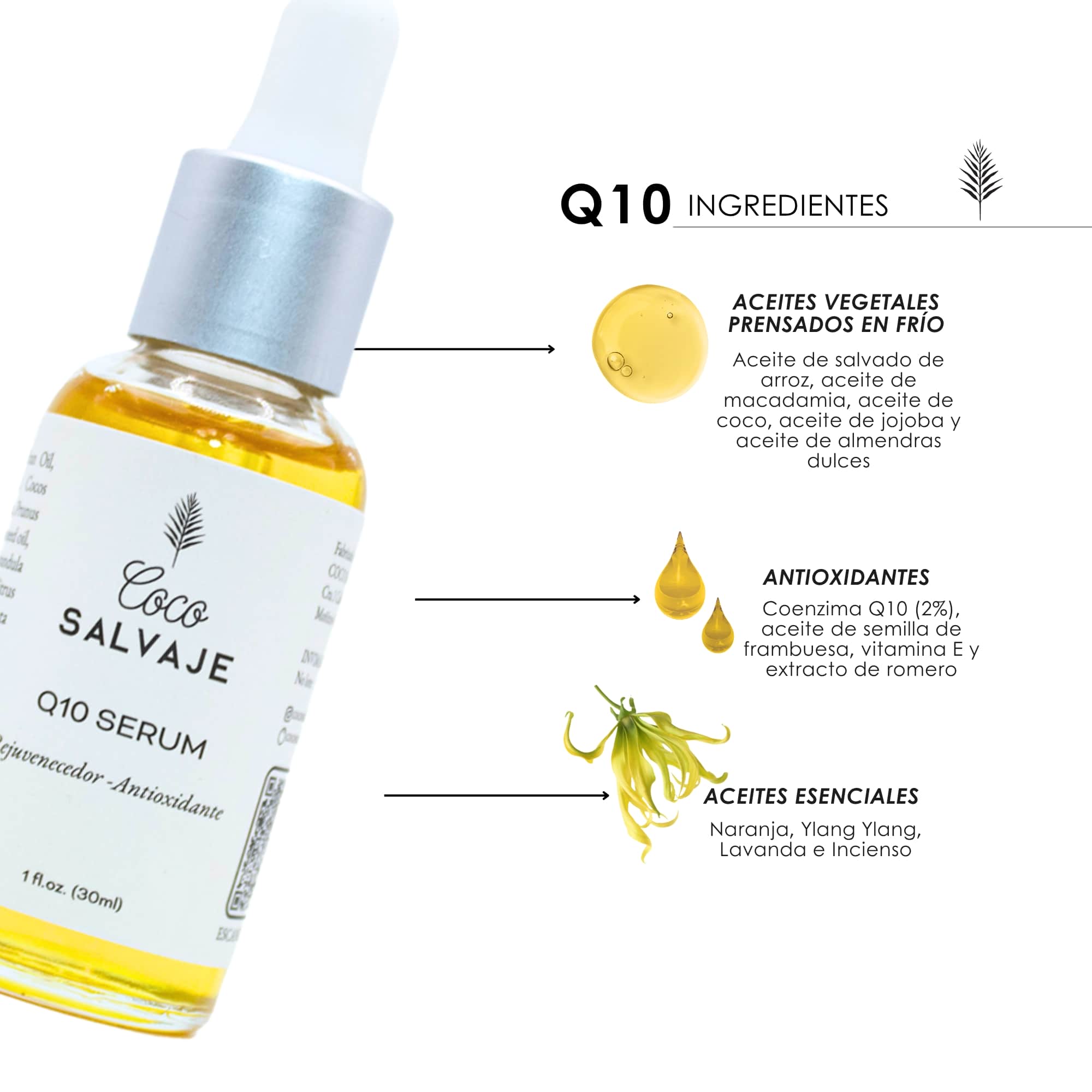 Revitaliza tu rostro con el Sérum Q10 Coco Salvaje. Textura suave, resultados visibles.