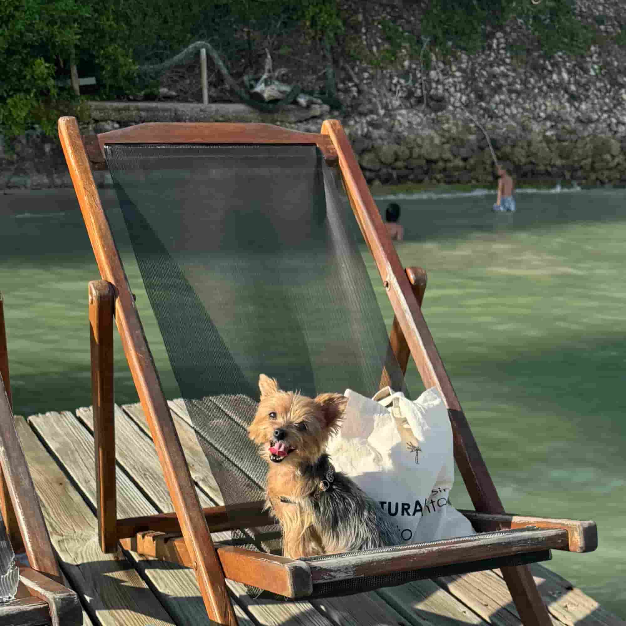 Tote Bag (Naturalito, sin tanto cuento)