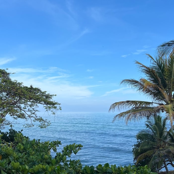 Un espacio lleno de buena energía donde Coco Salvaje te invita a ser parte de su equipo y dejar huella juntos.